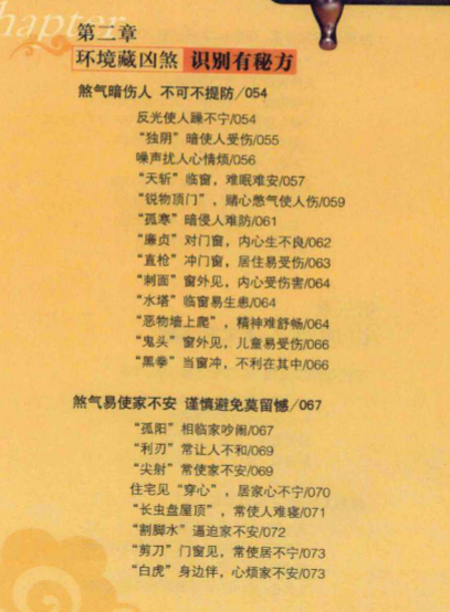 260123大雨《宅运之吉祥家居 》318页 电子版Y插图1