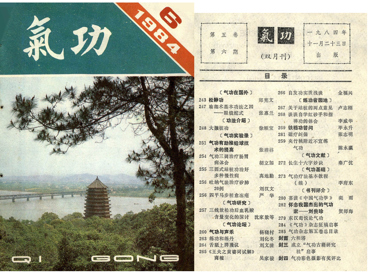 260397-17 气功1984第六期.pdf插图