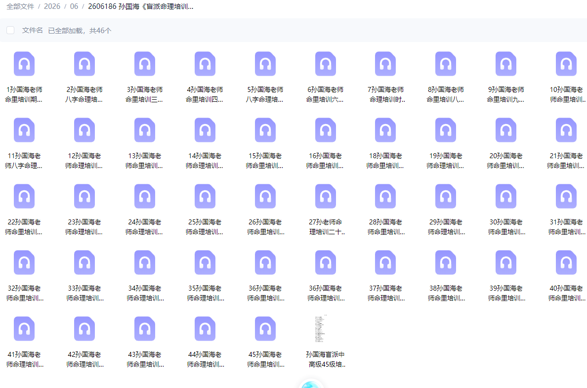 2606186 孙国海《盲派命理培训班》中高级45节 音频+课件插图