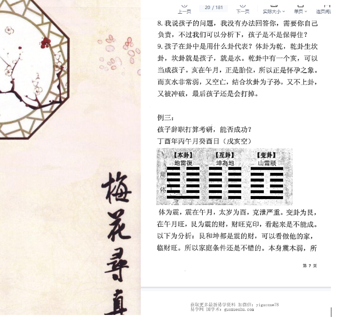 2606189 黄石易《梅花寻真精解100例》梅花精解100例181页插图