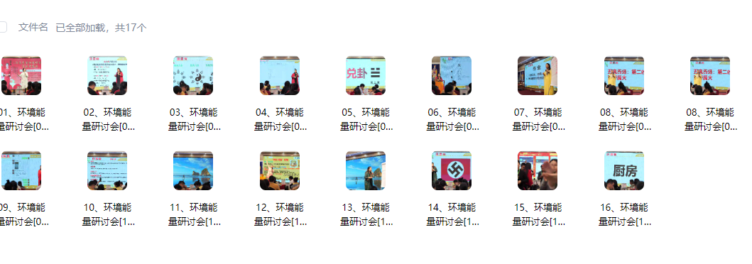 2608169 徐子辰环境能量研讨会17集插图 2608169 徐子辰环境能量研讨会17集插图