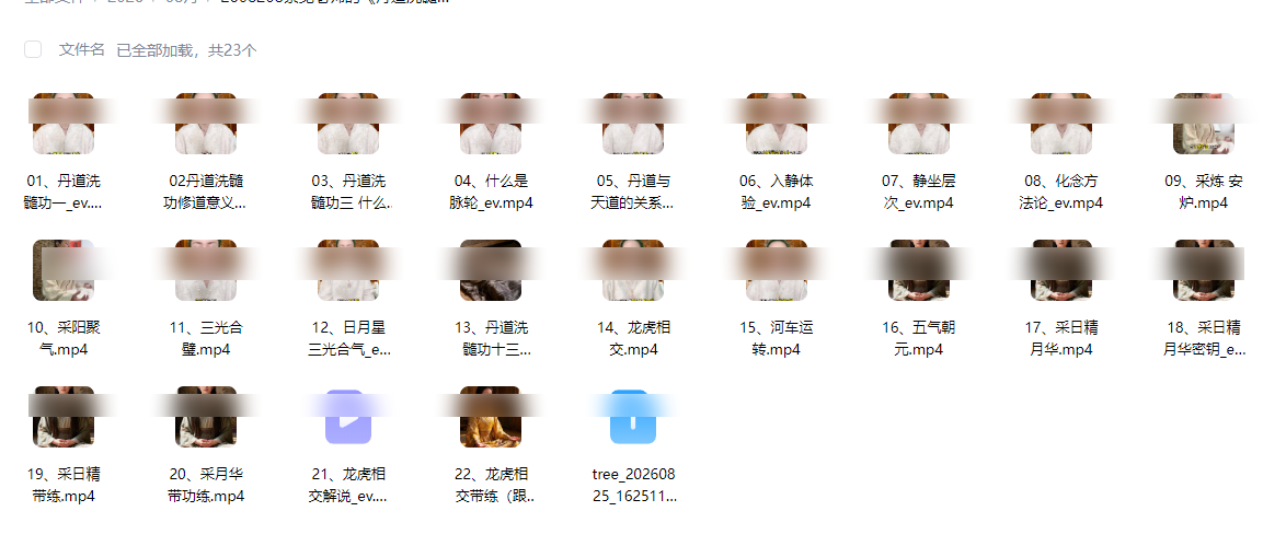 2608208紫觉老师的《丹道洗髓功体系22节课含带练》视频课Y插图 2608208紫觉老师的《丹道洗髓功体系22节课含带练》视频课Y插图