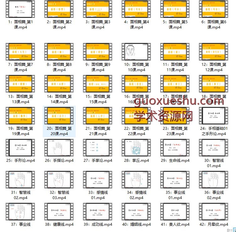 信乙老师【价值万元手相_面相课_一听就懂_一学就会_一用就准_】插图