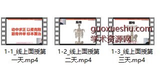 2408118 邱磊动态还原术网络面授2023年新课插图