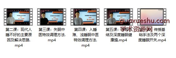 黎汉：深度睡眠中医特效调理术手法视频课插图