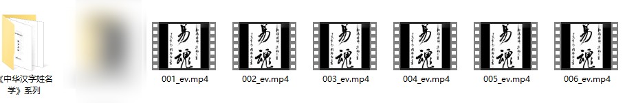 张泊-《中华汉字姓名学教学课程》视频6集+3套资料插图