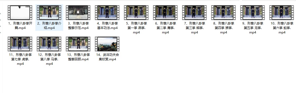 许微含《形意八卦掌》视频14集插图