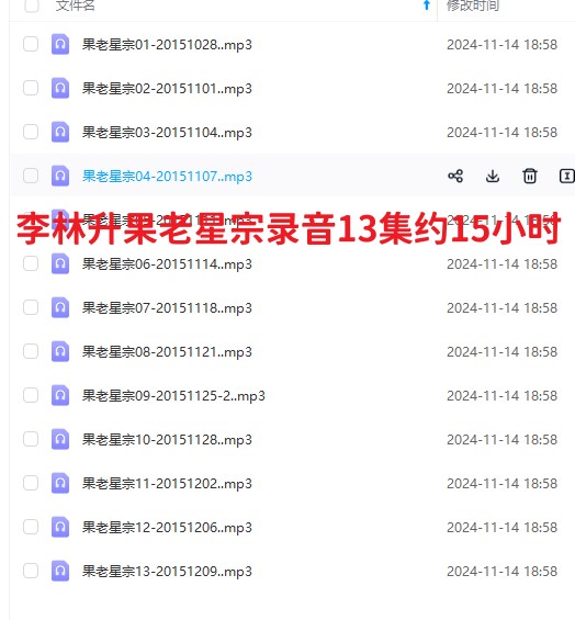 李林升果老星宗录音13集约15小时插图