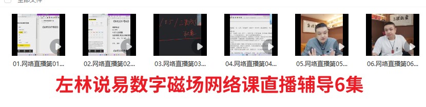 左林说易数字磁场网络课直播辅导6集插图