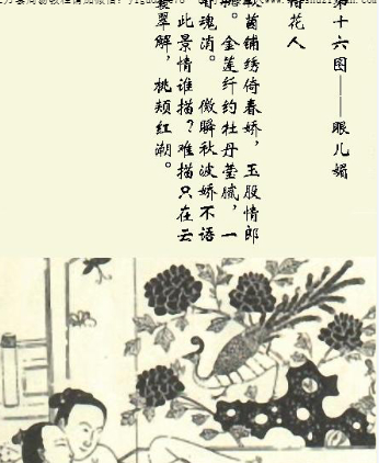 花营锦阵(24图)无名氏编撰.pdf插图