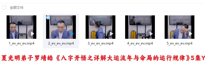 夏光明弟子罗靖皓 《八字开悟之详解大运流年与命局的运行规律》5集Y插图
