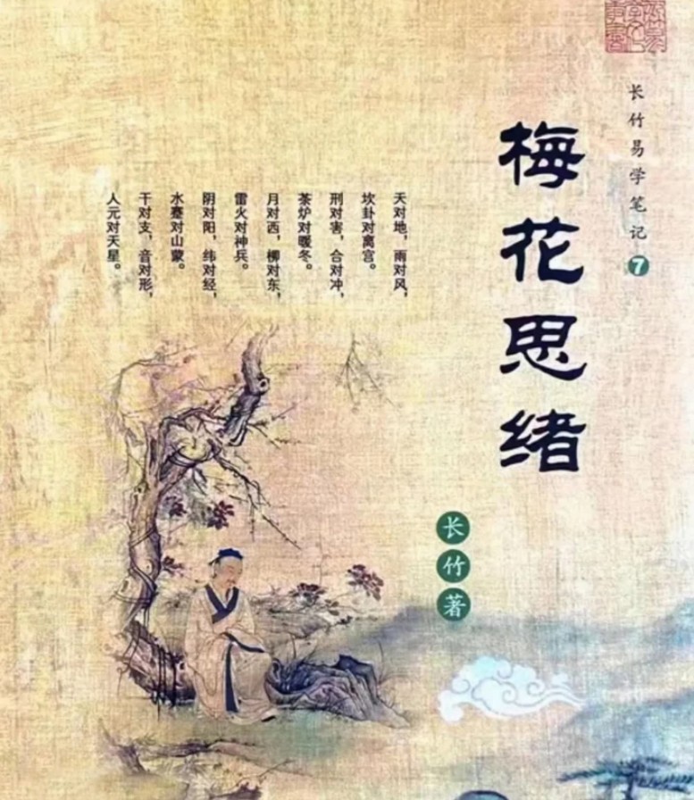 长竹易学笔记《梅花思绪》125页.pdf插图