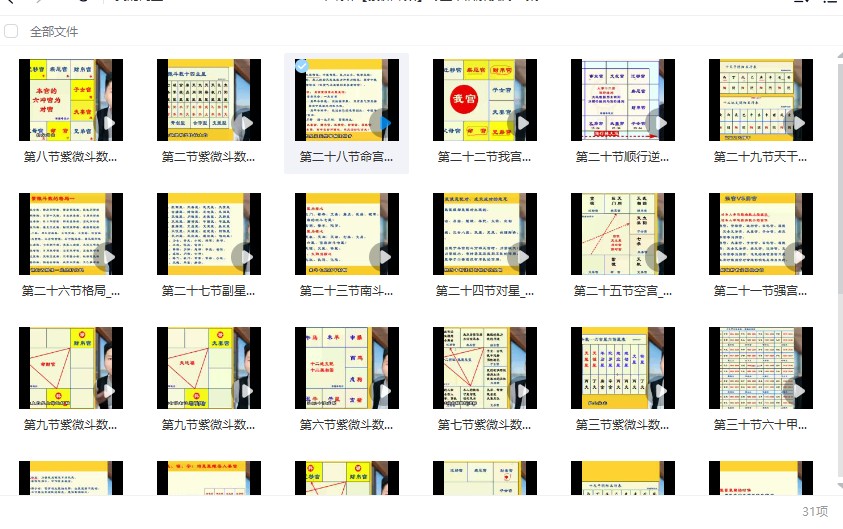 2024梁瑞峰【紫微斗数】专业术语解读篇31集插图