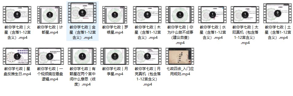 谢知念 教你学七政【原版】30视频插图