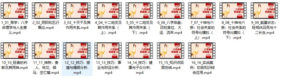 玄而未决八字命理初中教学视频合集插图1