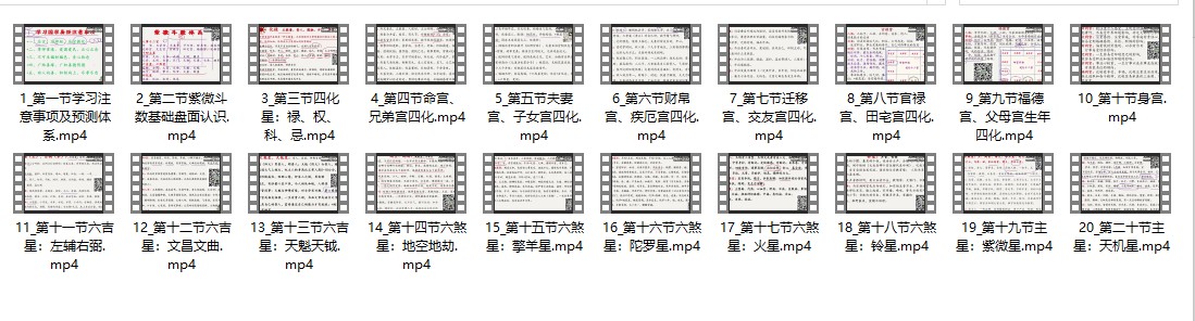 道门秘传 紫微斗数实战课程_20插图