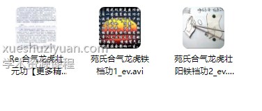 苑氏合气龙虎壮元功壮阳铁裆功视频2集+文档Y插图